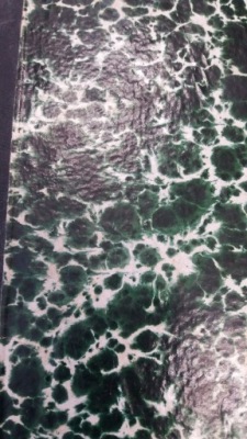 Morzycka HOLANDJA 1907