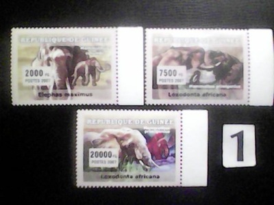 Zwierzęta , słonie, Guinee MNH