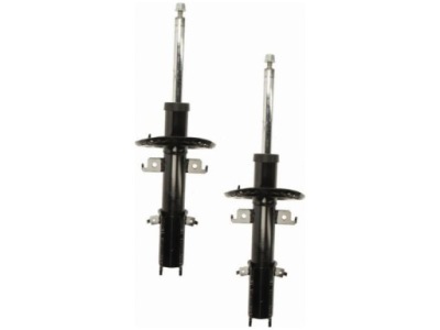 Амортизаторы перед renault kangoo ii 1.2-1.6 08-12 фото №1