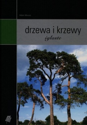 Drzewa i krzewy iglaste