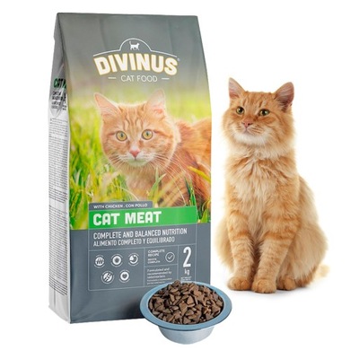 Divinus Cat Meat dla kotów dorosłych 2 kg