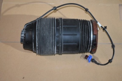 Idealny пневмоподушка подушка задня задня ліва porsche panamera 971 1 фото №1