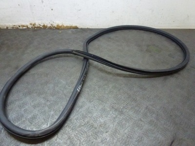 Прокладка двері правий задня compass 2017- фото №1