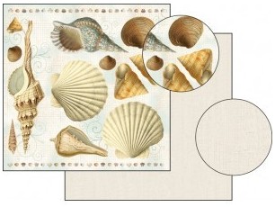 PAPIER Ozdobny Do Scrapbookingu 30 x 30 cm DWUSTRONNY Muszelki Stamperia