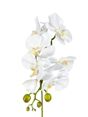 STORCZYK BIAŁY SZTUCZNY ORCHIDEA POJEDYNCZA 75CM