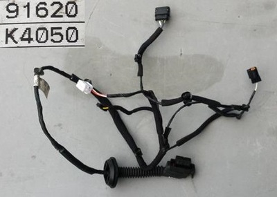 Джгут двері лівий задня hyundai kona 91620-k4050 фото №1