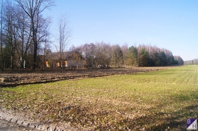 Działka, Kuśnie, Sieradz (gm.), 9700 m²