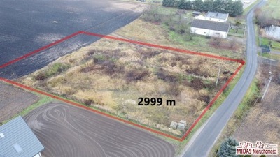 Działka, Wiktoryn, Waganiec (gm.), 2999 m²