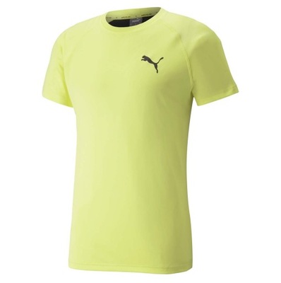 Męska Koszulka RTG TEE LEMON SHERBERT XXL
