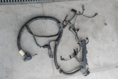 Iveco daily 03-06 2.3 hpi электропроводка двигателя фото №1