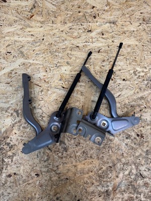 Петлі петля правий лівий капот renault talisman комплект tekng фото №1