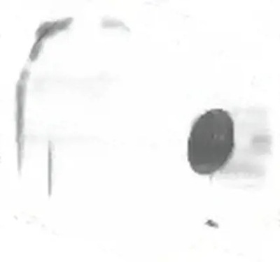 Втулка гумовий елемент стабілізатора задня задня fdsb-escr фото №1