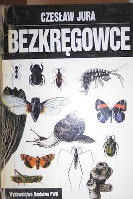 BEZKRĘGOWCE - Czesław Jura