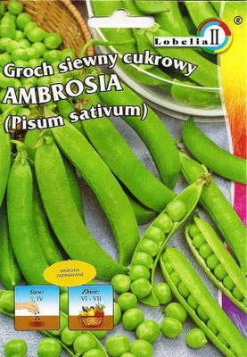 Groch Siewny Cukrowy Ambrosia