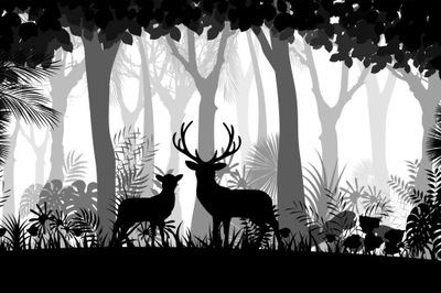 Fototapeta na wymiar las, jelenie, leśne zwierzęta
