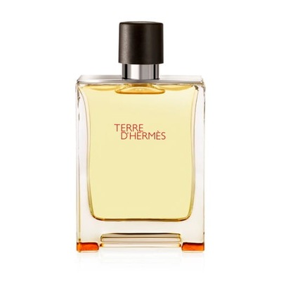 HERMES TERRE D'HERMES EDT 100 ML FLAKON