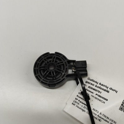 Audi e-tron 2019 ліва сторона динамік двері задніх фото №1