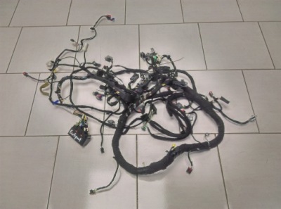 Ford ecosport джгут електропроводка панелі приладової панелі fn1t14k024 gnf фото №1