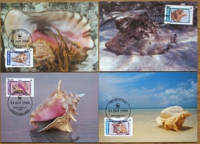 WWF - NEVIS - 1989 - MUSZLE - MAXI KARTI