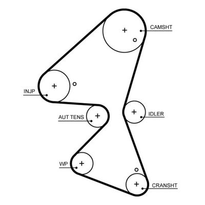 CORREA DISTRIBUCIÓN  