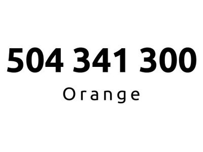 504-341-300 | Starter Orange (34 13 00) #E