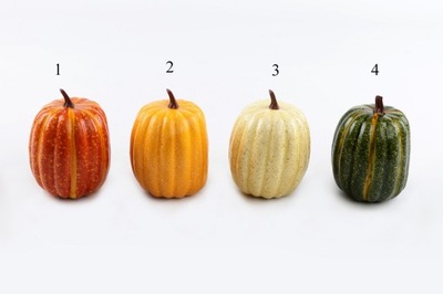 Jesienna dynia - 4 kolory do wyboru