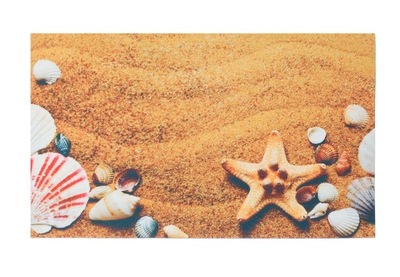 DYWANIK WYCIERACZKA 40 x 60 CM