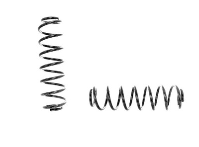 - ПРУЖИНЫ ЗАД SKODA FABIA I УНИВЕРСАЛ , II УНИВЕРСАЛ , 2000-2014
