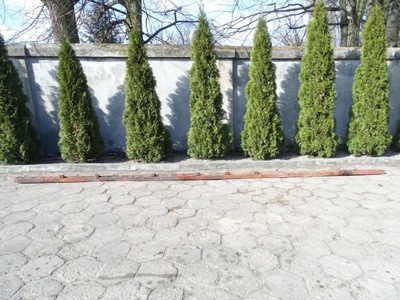 Iveco daily iii 99-06 рама bok рами 658cm двійник колісна база osi 395cm #117b фото №1