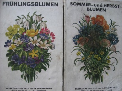 BLUMEN Wiosenne, letnie jesienne kwiaty ATLAS 1920