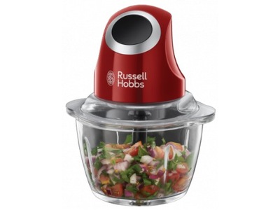 RUSSELL HOBBS Rozdrabniacz Desire 24660-56