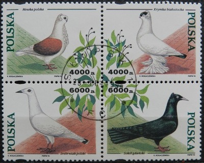 Fi. 3363 - 3366 kas - Gołębie hodowlane