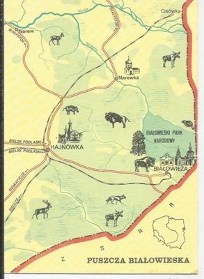 PUSZCZA BIAŁOWIESKA MAPKA