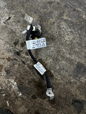 Клемма минусовая dacia sandero iii 250820499r фото №1