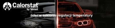 ПРОБКА БАЧКА WYR IVECO DAILY III RC0085/VER CALORSTAT BY VERNET