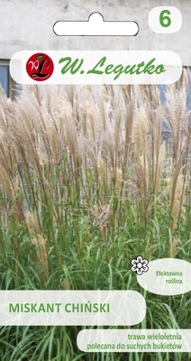 MISKANT CHIŃSKI LEGUTKO