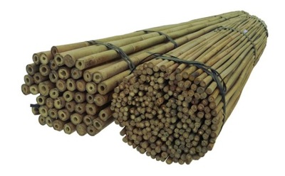 Tyczki bambusowe 150 cm 24/26 mm /50 szt/, bambus