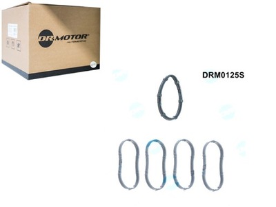 Dr.motor drm0125s набір прокладка, колектор впускний фото №1