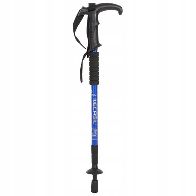 KIJE TREKKINGOWE KIJKI NORDIC WALKING 90-110 CM