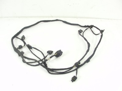 Джгут задня mercedes w246 b-kl 6pdc a2465400303 фото №1