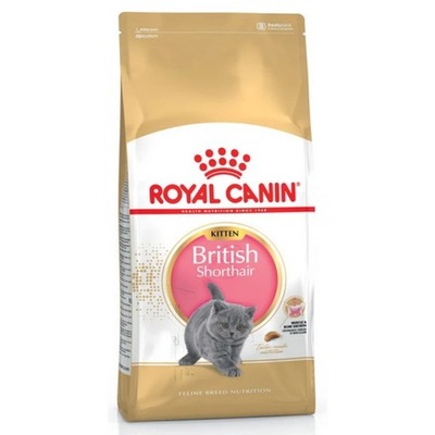 Royal Canin British Shorthair Kitten karma sucha dla kociąt, do 12