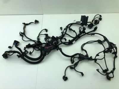 Bmw f48 x1 джгут двигуна 2.5b48 x-drive 8678960 фото №1