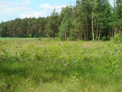 Działka, Słonawy, Oborniki (gm.), 1197 m²