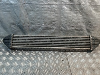 Радіатор повітря інтеркулер mercedes w169 a180 2.0 cdi 04-08 фото №1