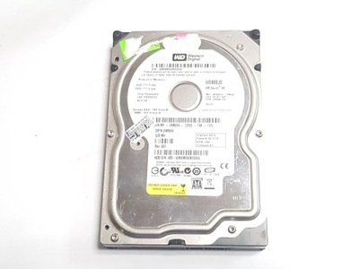 dysk twardy 80 GB WD WD800JD SATA 3,5'' DSK4008