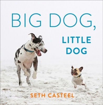 Big Dog, Little Dog Casteel Seth