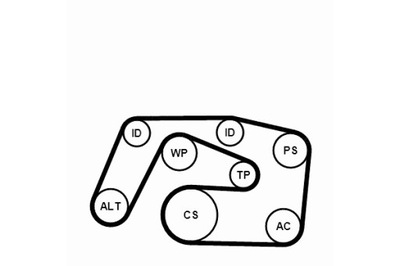 CONTINENTAL CTAM KOMPLEKTAS PASKOW WIELOROWKOWYCH Z ROLKAMI MERCEDES C 