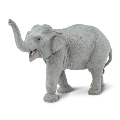 SŁOŃ INDYJSKI - Asian Elephant Safari Ltd. 227529