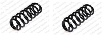 Lesjöfors 4208443 пружина підвіска фото №1