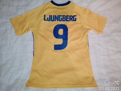 Umbro Szwecja Ibrahimovic Larsson LJUNGBERG